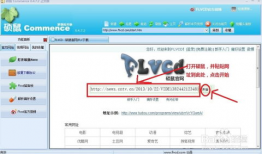 怎么下载网页上的视频,一键掌握视频下载技巧