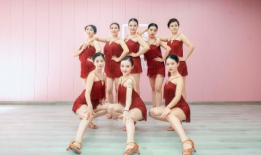 踏浪舞蹈视频,青春飞扬——舞蹈视频魅力解析